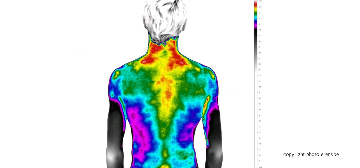thermographie infrarouge diagnostic santé thermographie